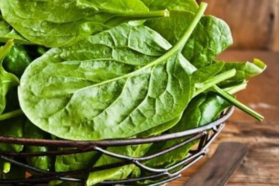 Comer verduras “verdes” ayuda a la salud del cerebro