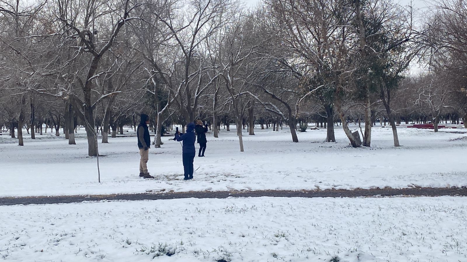 Suspendidas clases presenciales en COBACH