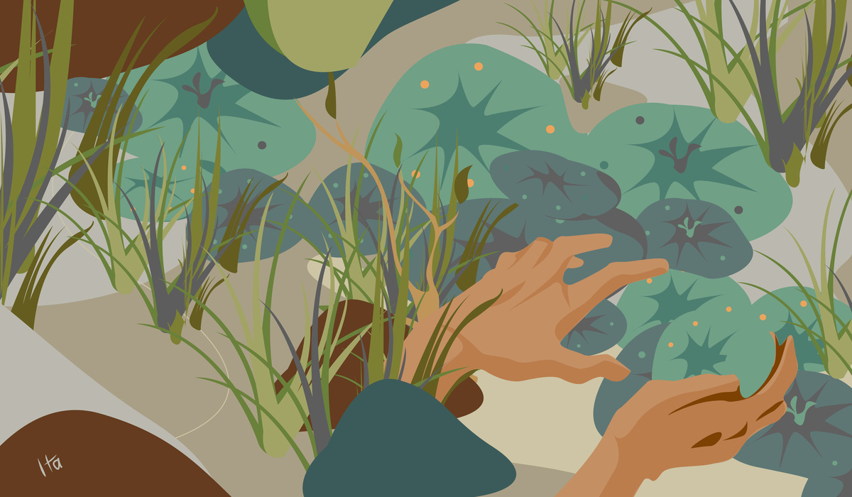 Saqueado: El incierto destino del peyote mexicano