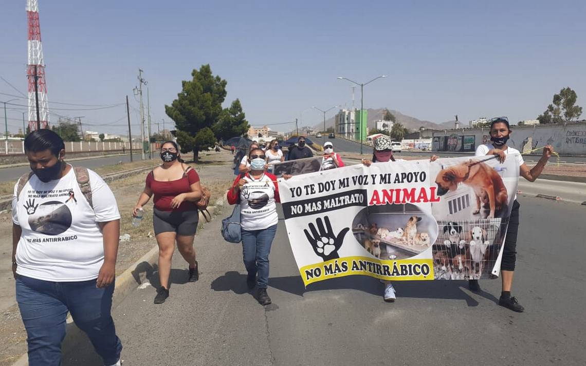 Rescatan animales de antirrábico tras manifestación
