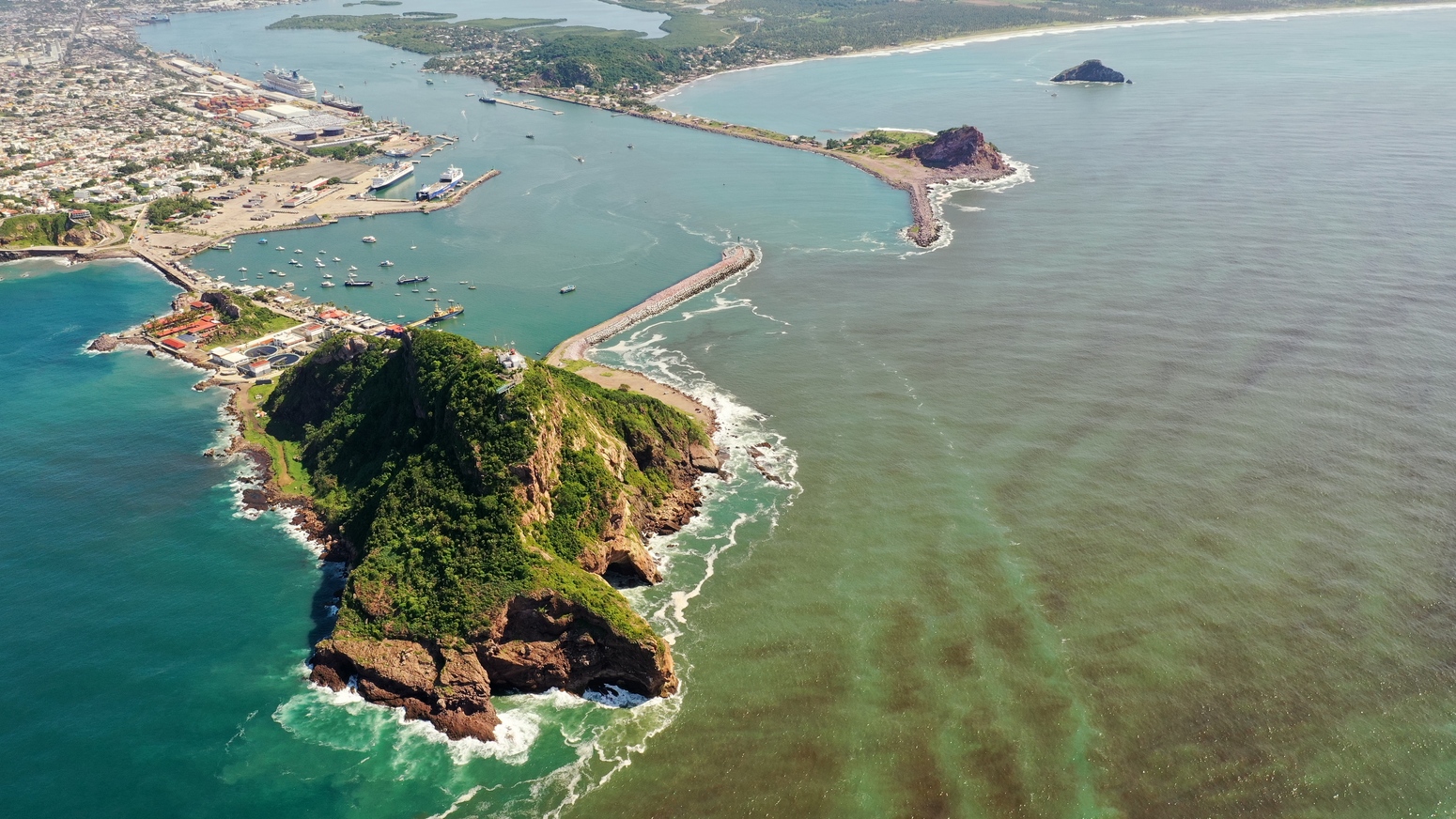 Amenaza en el mar: Florecimientos algales nocivos