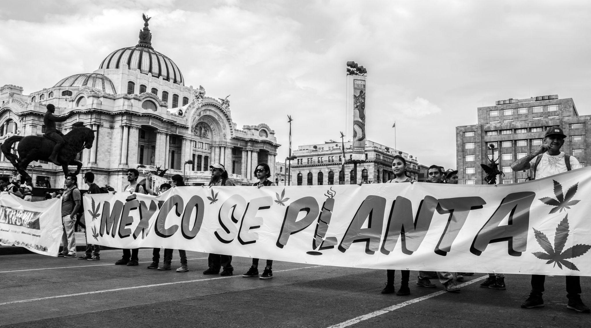 El mariguano en México: estigma latente