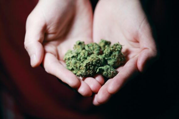 Legalización de cannabis en NM podría provocar tráfico inverso