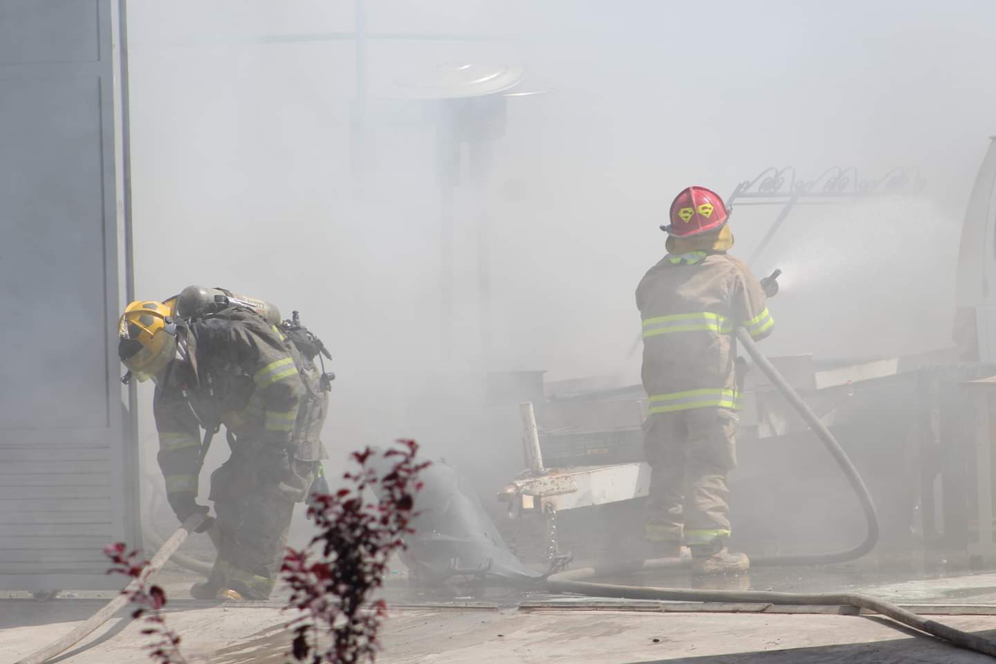 Galería: Incendio en la colonia Campestre Arboleda