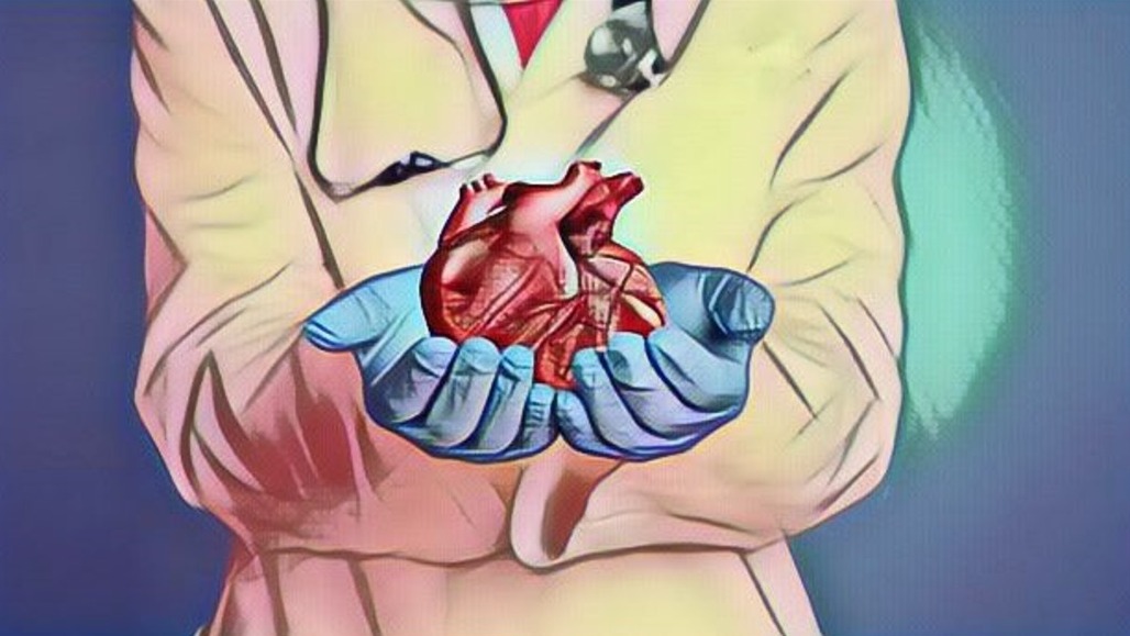 Buscan crear conciencia en niños sobre donación de órganos