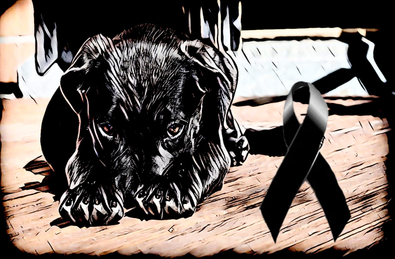 Al cielo en cuatro patas: cementerio de mascotas