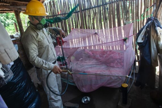 La otra pandemia: el fracaso del combate al dengue