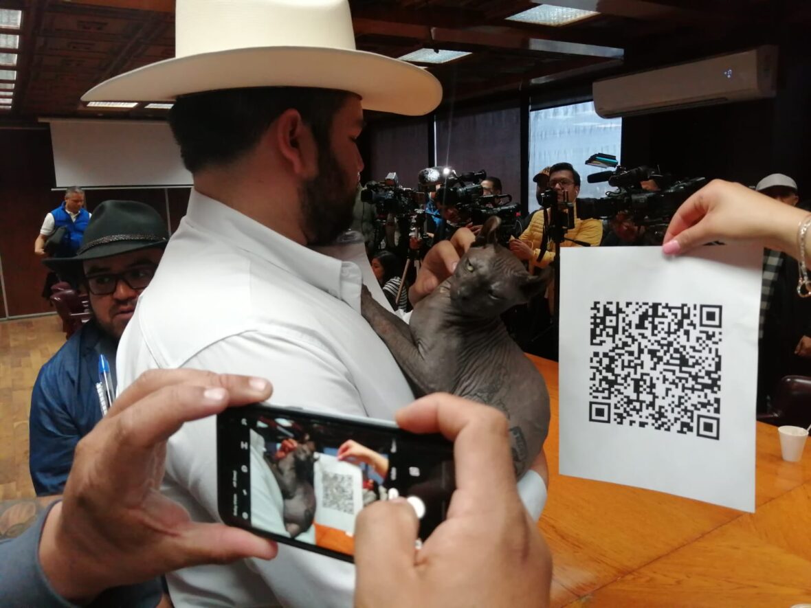 Buscan más de cien personas adoptar a “Mishicles”