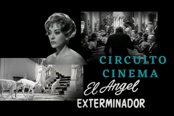 Circuito Cinema: El ángel Exterminador