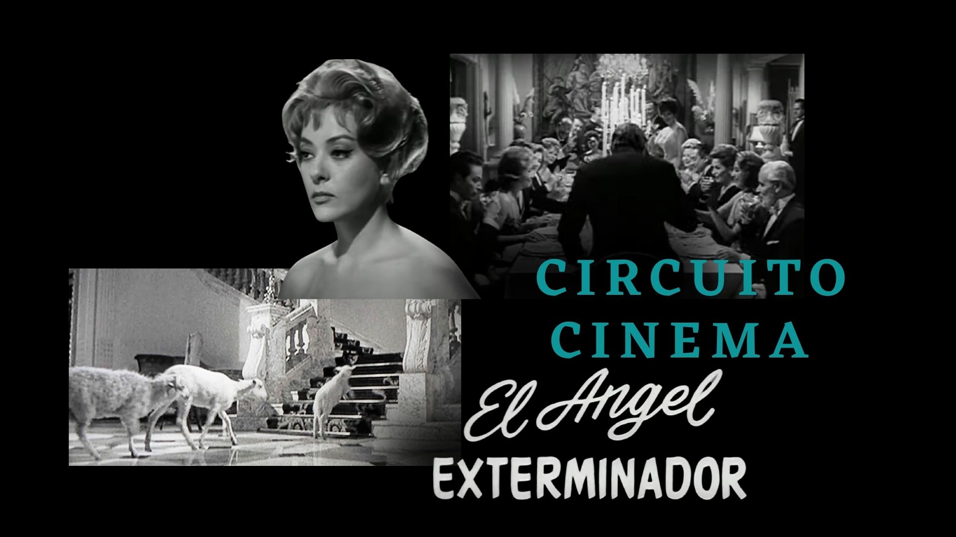 Circuito Cinema: El ángel Exterminador