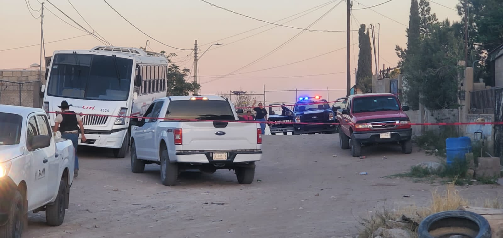 Localizan 118 perros muertos;  1 detenido