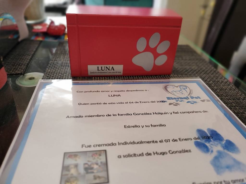 Funeraria de mascotas podría enfrentar multa de hasta 30 mil pesos