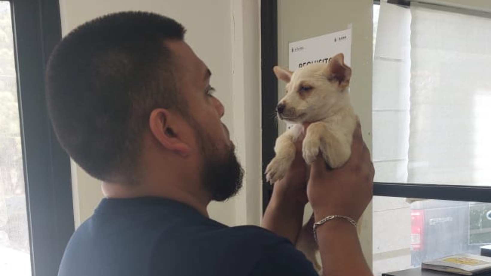 El nuevo perrijo de Carlos Alberto