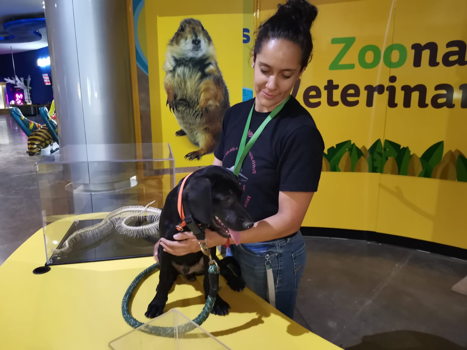 Xolo: el nuevo canino de La Rodadora