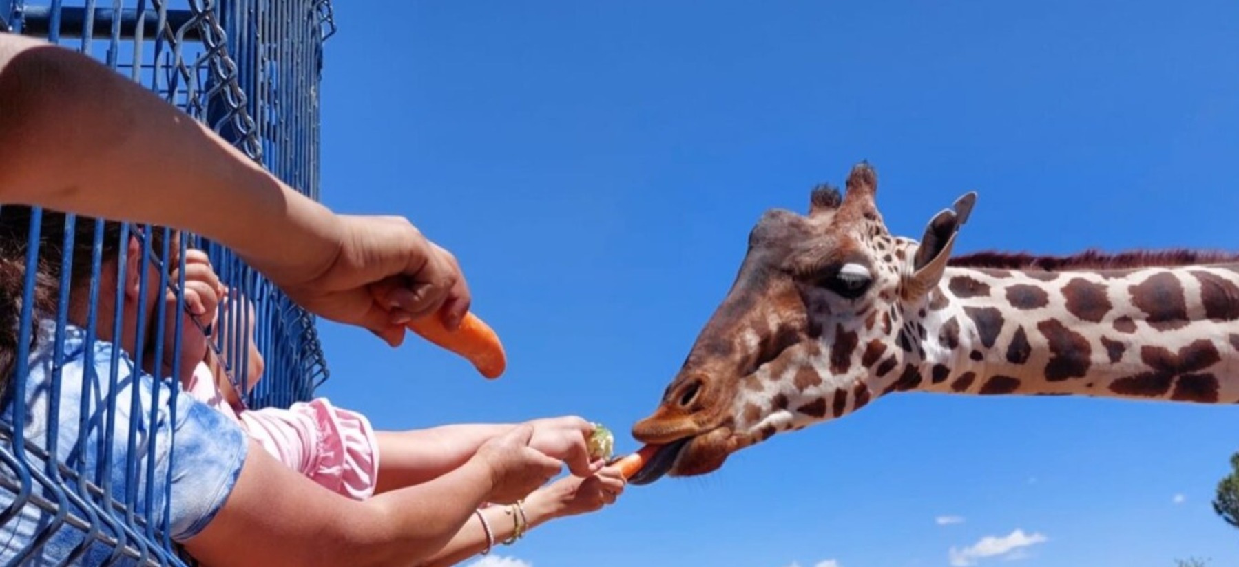 Marcharán por mejor vida para Benito