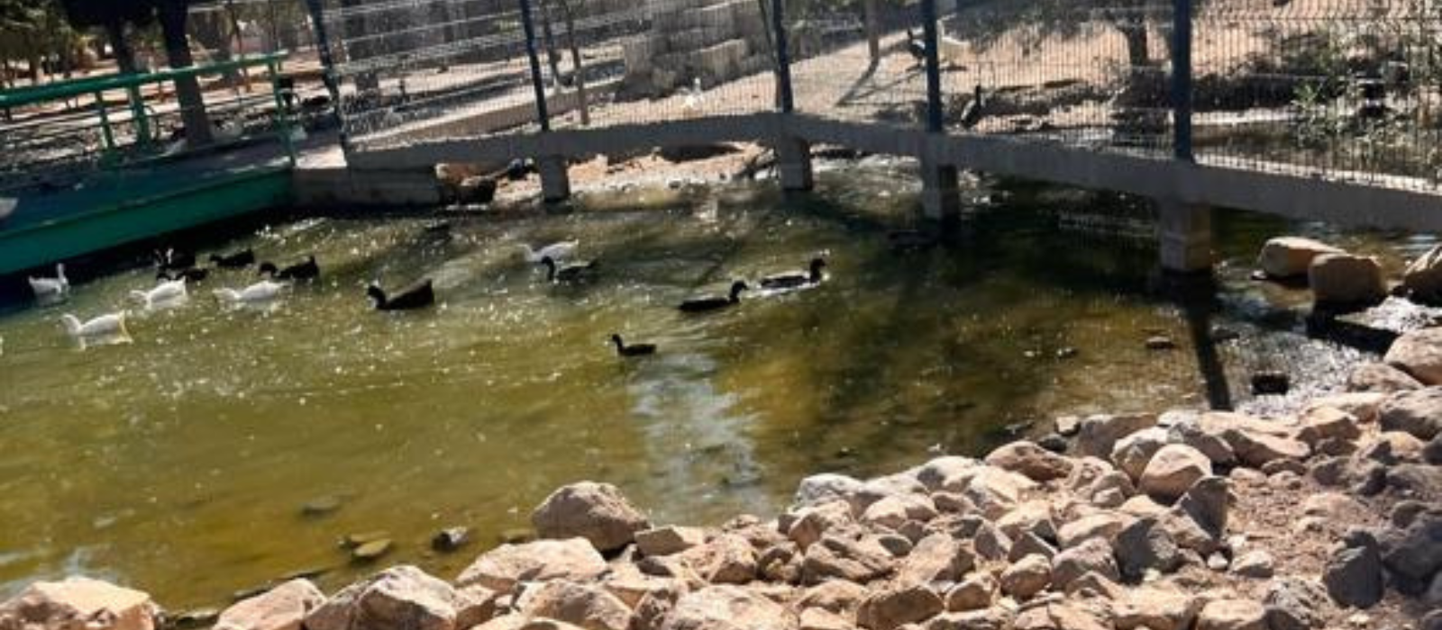 Alerta IFDP riesgos por contaminación en Parque Central