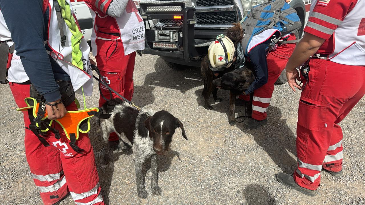 Despliegan operativo para rescatar a migrantes extraviados en Samalayuca