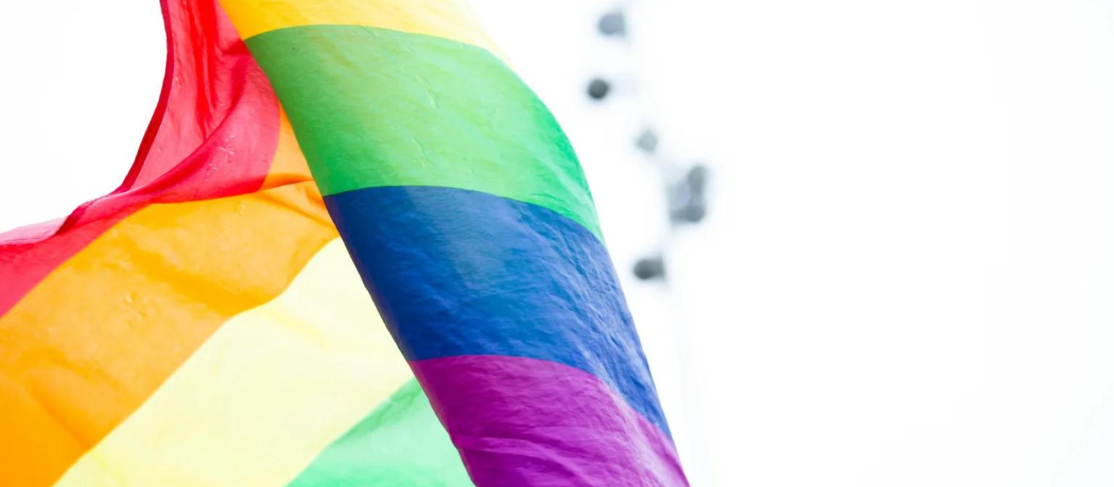 Homofobia en México: van 19 crímenes de odio en 2024