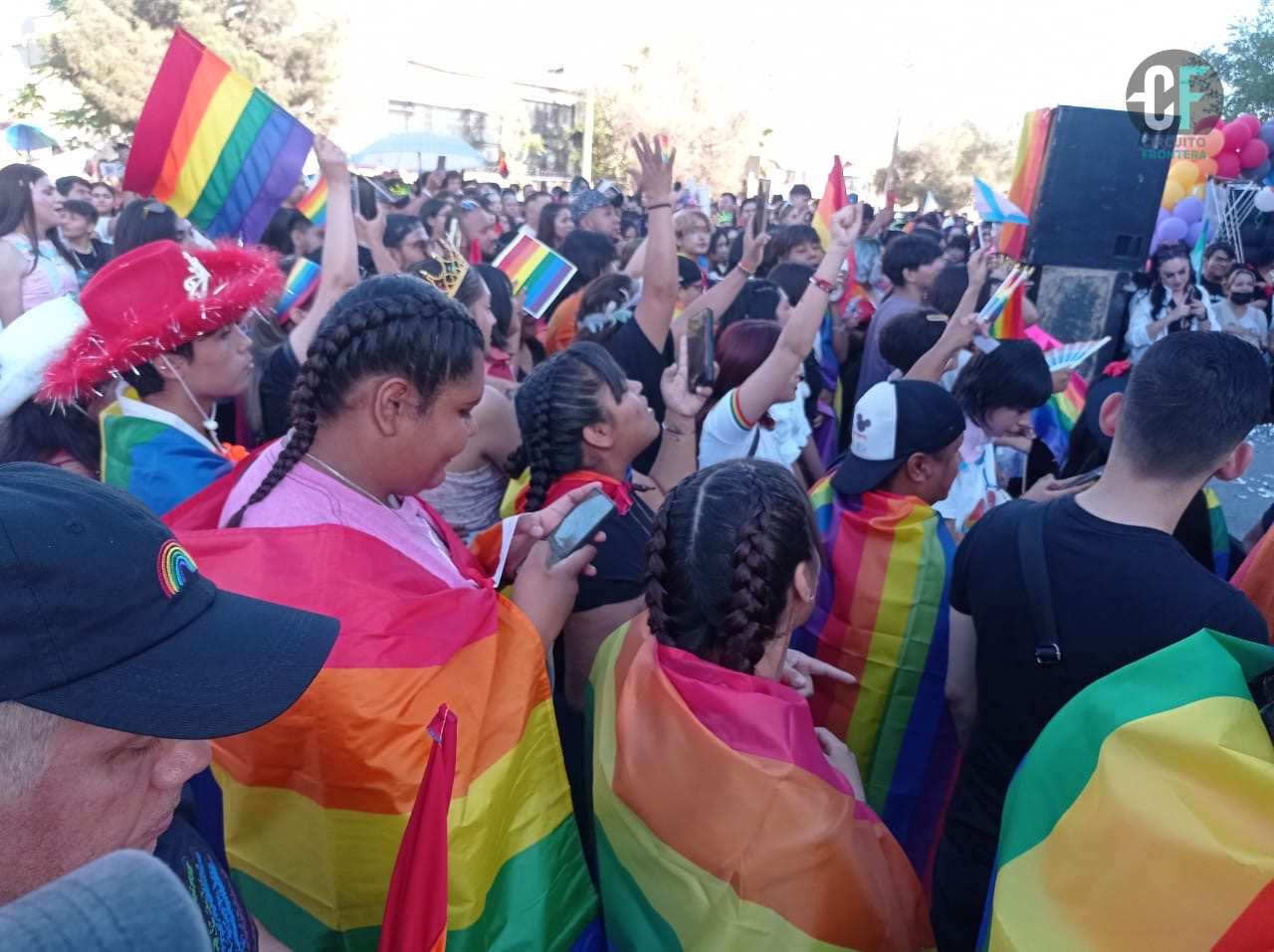 Galería: Marcha de las Diversidades Afectivo-Sexuales 2024