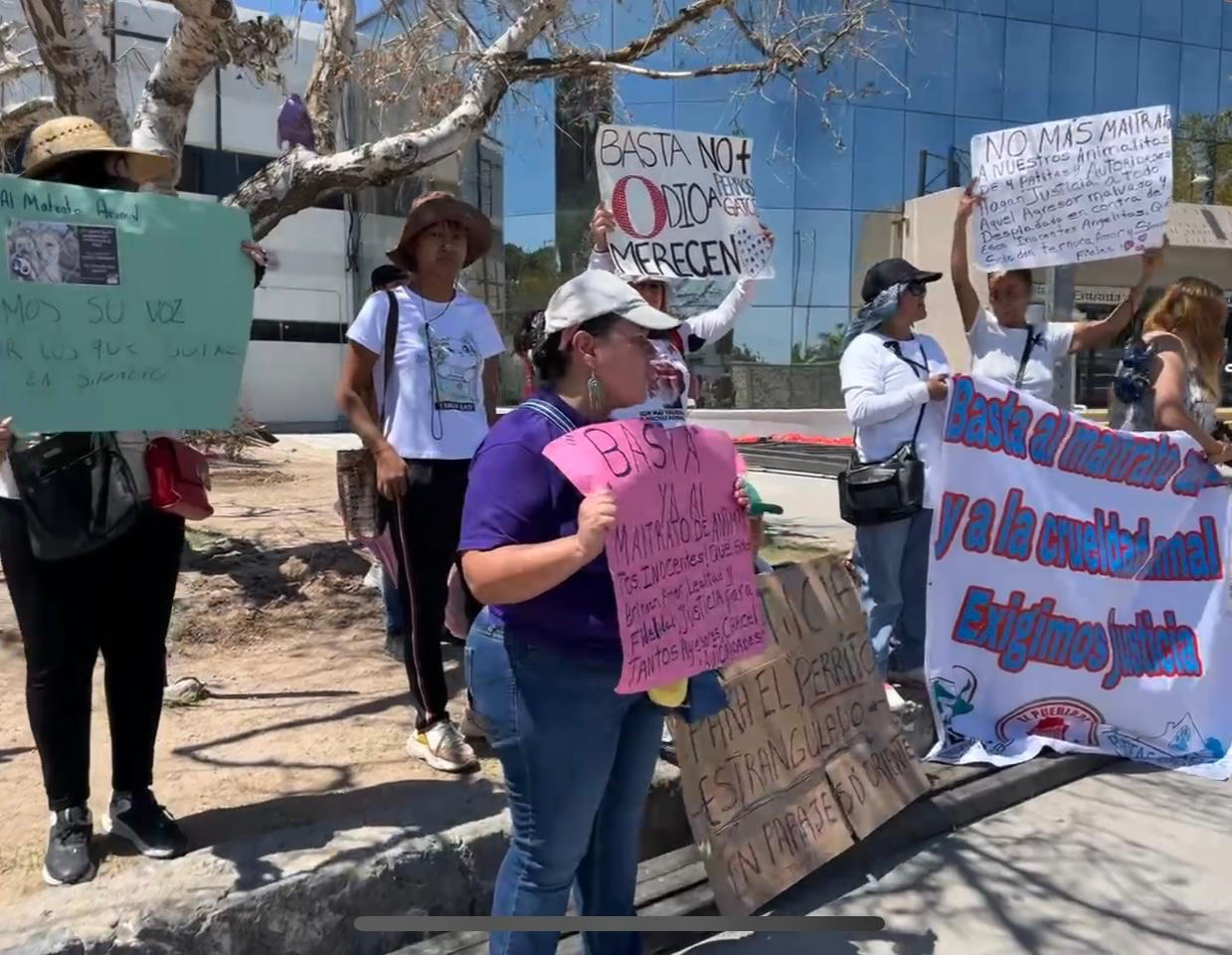 Piden justicia por los animales