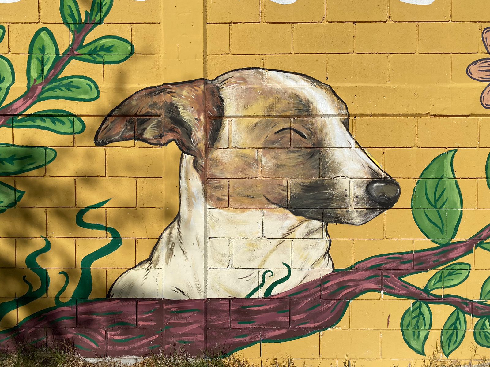 Vamos Pintando va por 500 murales por la paz para Culiacán