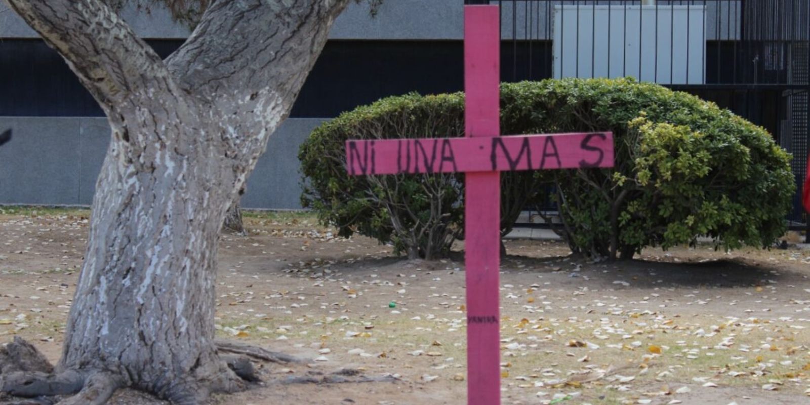 Disminuyen homicidios dolosos… pero crece violencia de género