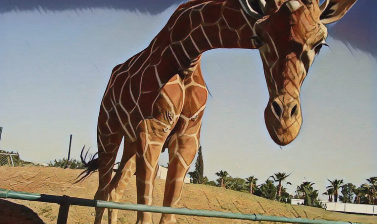 Tres narraciones en delatripa