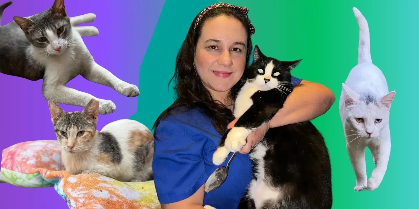 Susy Cats: un santuario para gatos sin hogar en Juárez