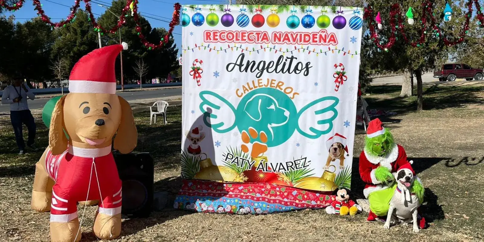 Una patita de ayuda para «Angelitos Callejeros»
