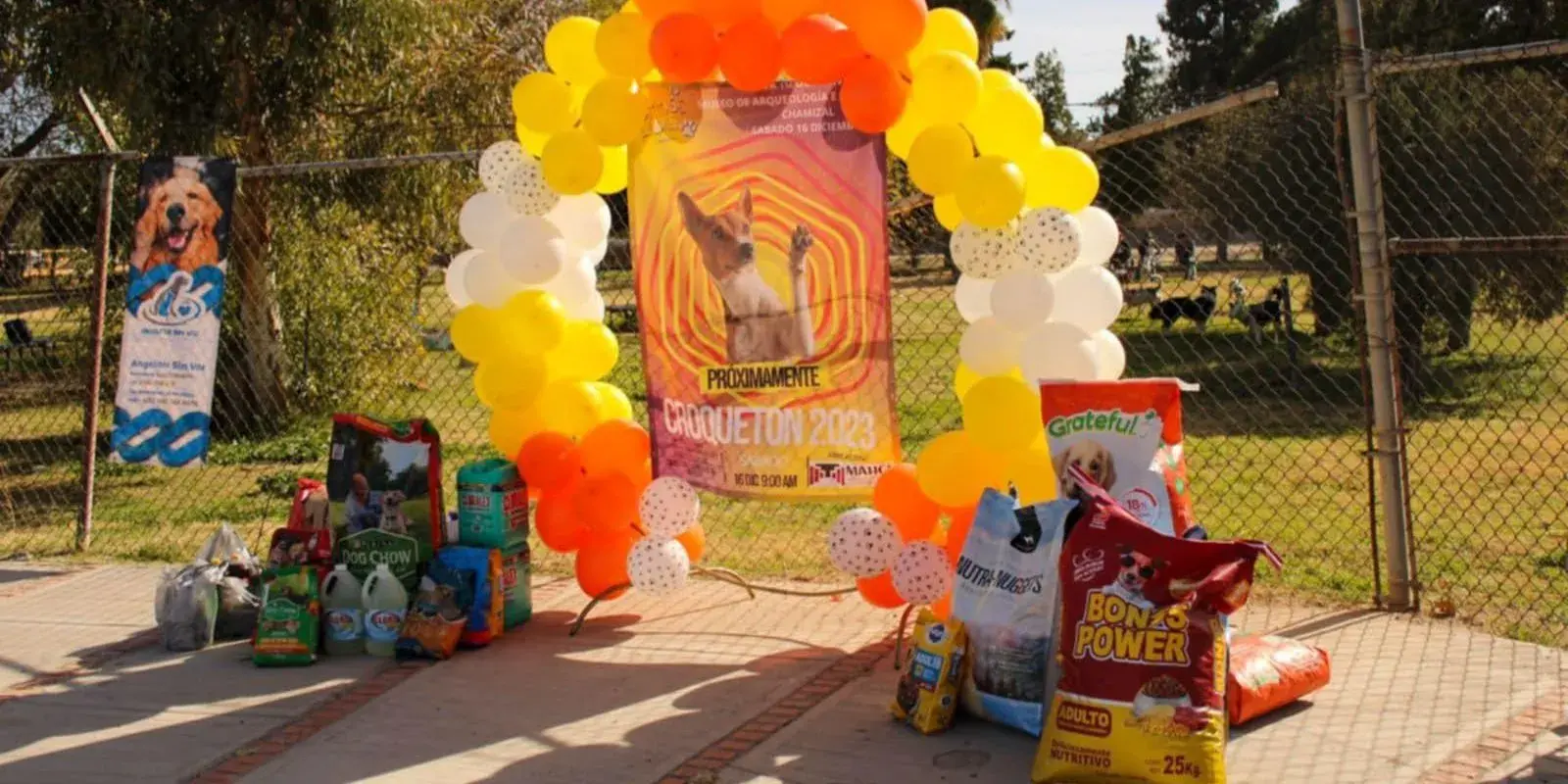 Invitan «Croquetón 2024» para apoyar a 350 mascotas