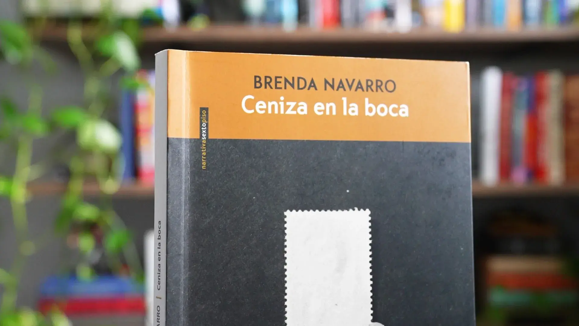 «Ceniza en la boca»: la nueva película de Diego Luna