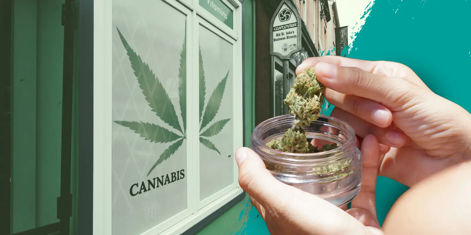 Más allá del 4/20: El reto del cannabis en México