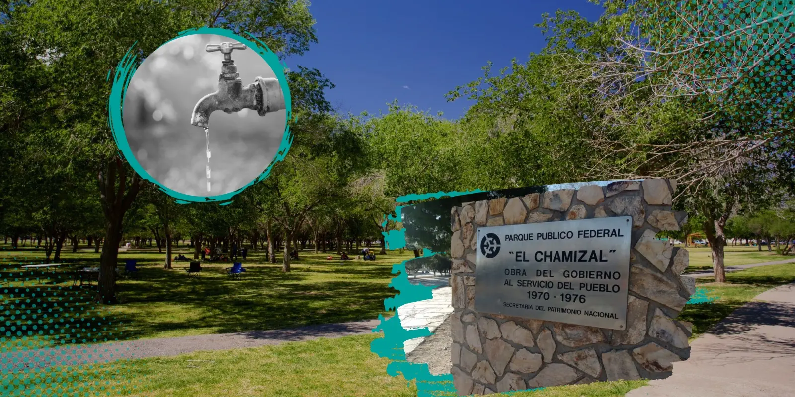 Falta de agua “frena” restauración ecológica de El Chamizal