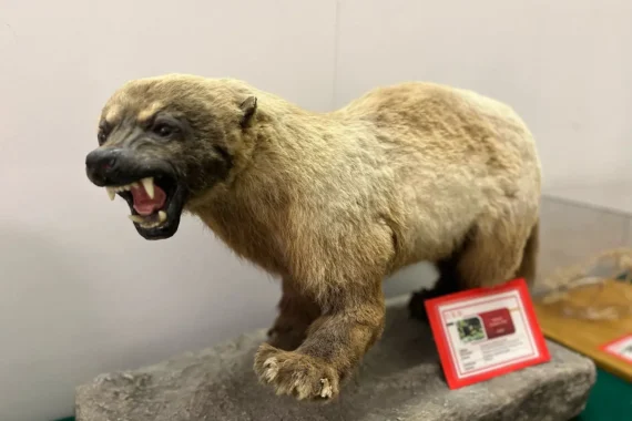 Unidad de Exhibición Biológica: Un viaje por la naturaleza