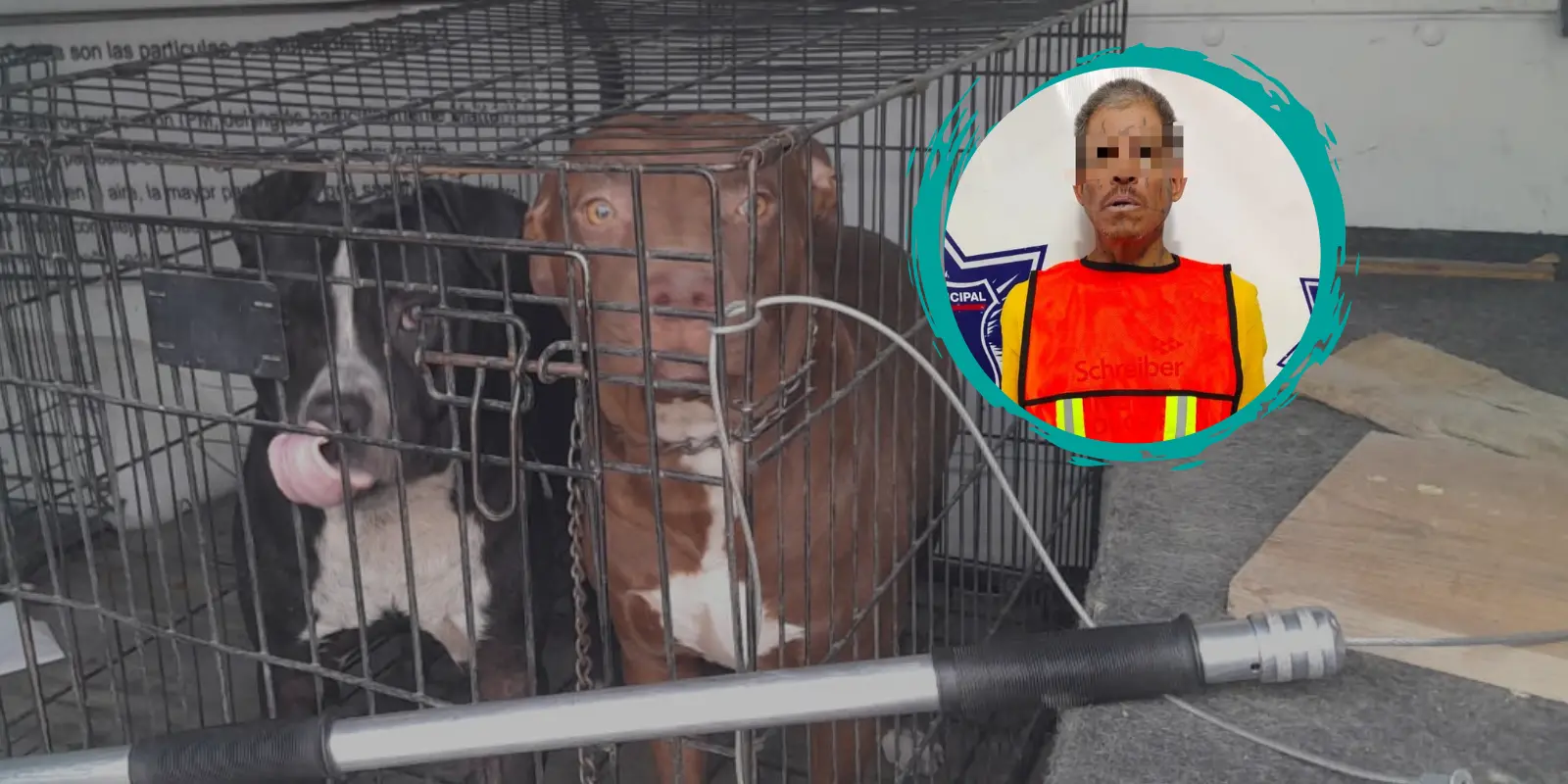 Hombre utiliza a 2 perros para agredir a una mujer en la vía pública