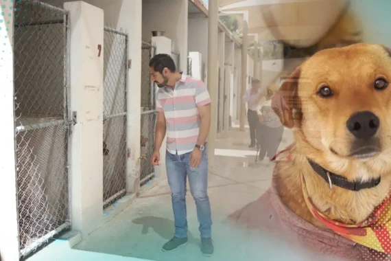 Cierran temporalmente el Centro de Bienestar Animal por obras de rehabilitación