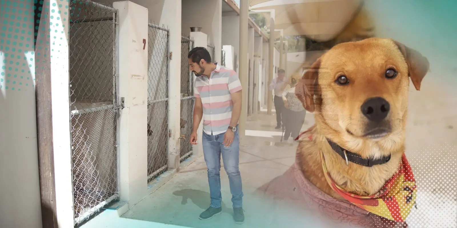 Cierran temporalmente el Centro de Bienestar Animal por obras de rehabilitación