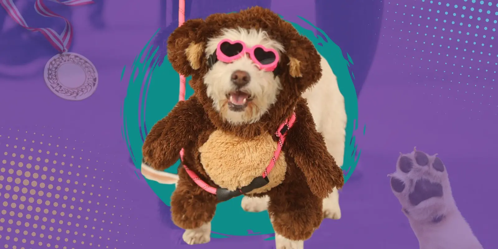 Organizan carrera con mascotas para alimentar a perros y gatos