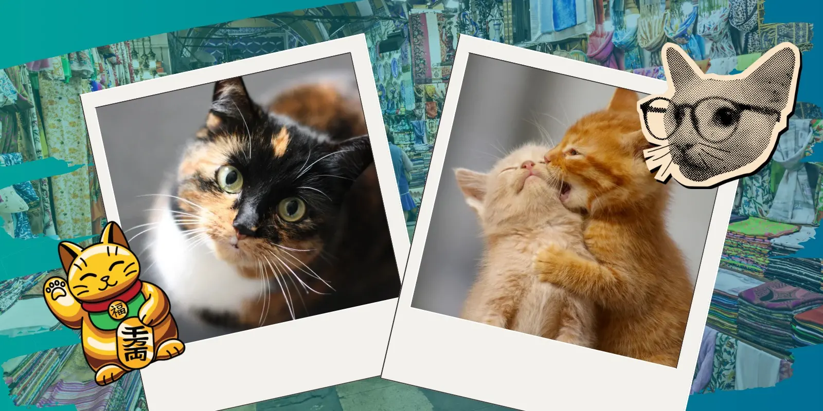 “Mishi Bazar Fest” para el refugio felino Susy Cats