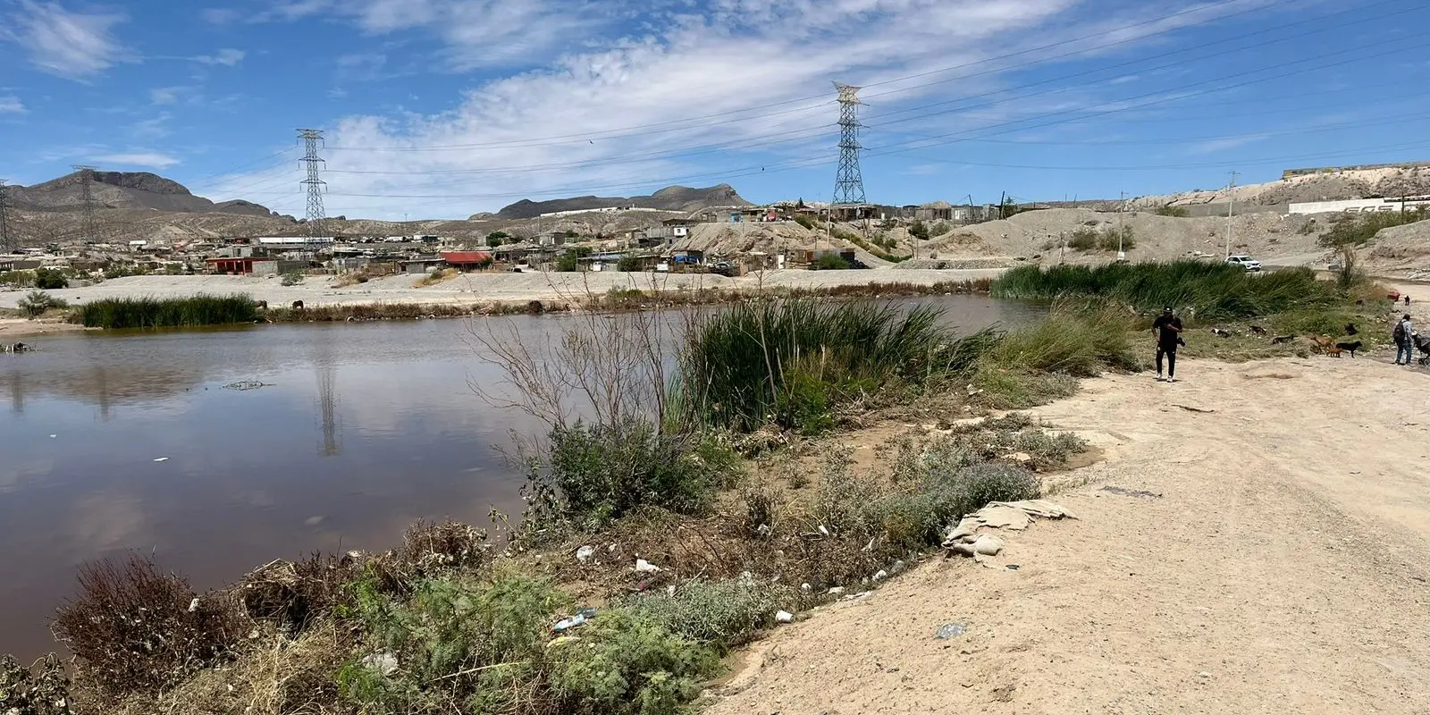 Colapsan diques: tenían más de 2,500 toneladas de desechos