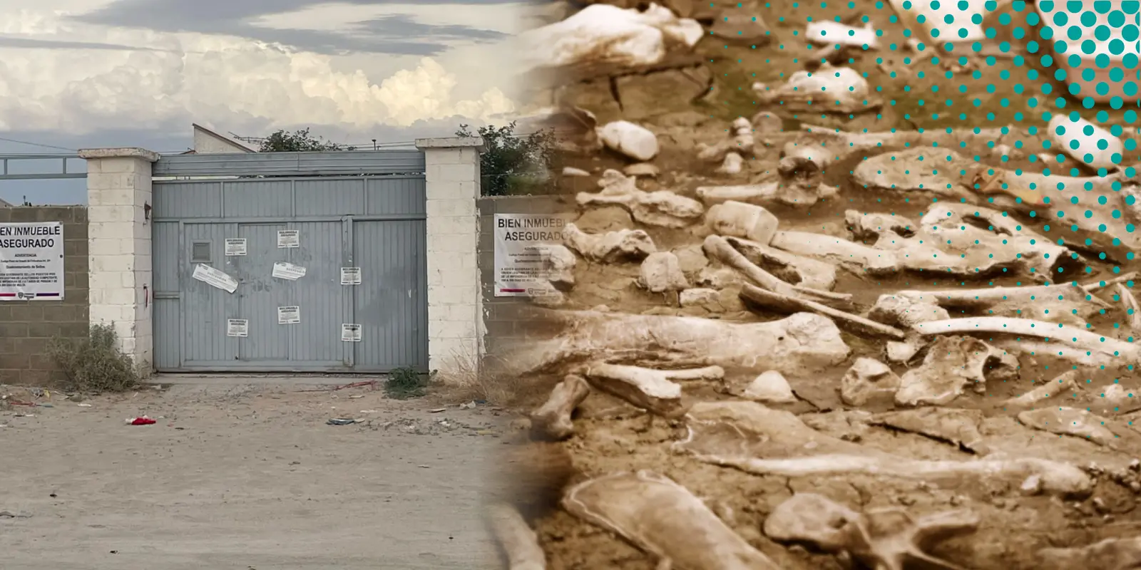 Huesos localizados afuera de crematorio Plenitud no son humanos: FGE