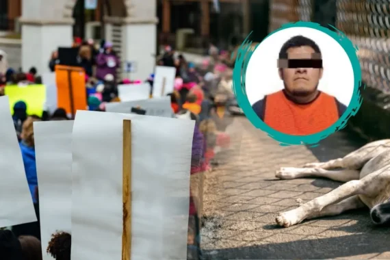 Protestarán frente a Fiscalía por caso de perrito mutilado