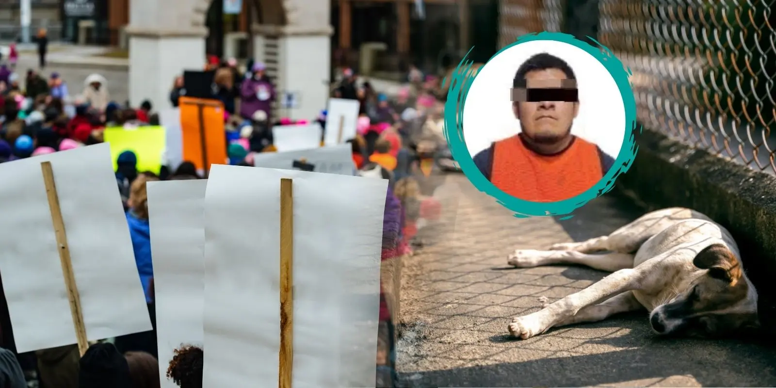 Protestarán frente a Fiscalía por caso de perrito mutilado