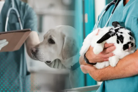 UACJ reduce uso de animales en prácticas… pero son indispensables