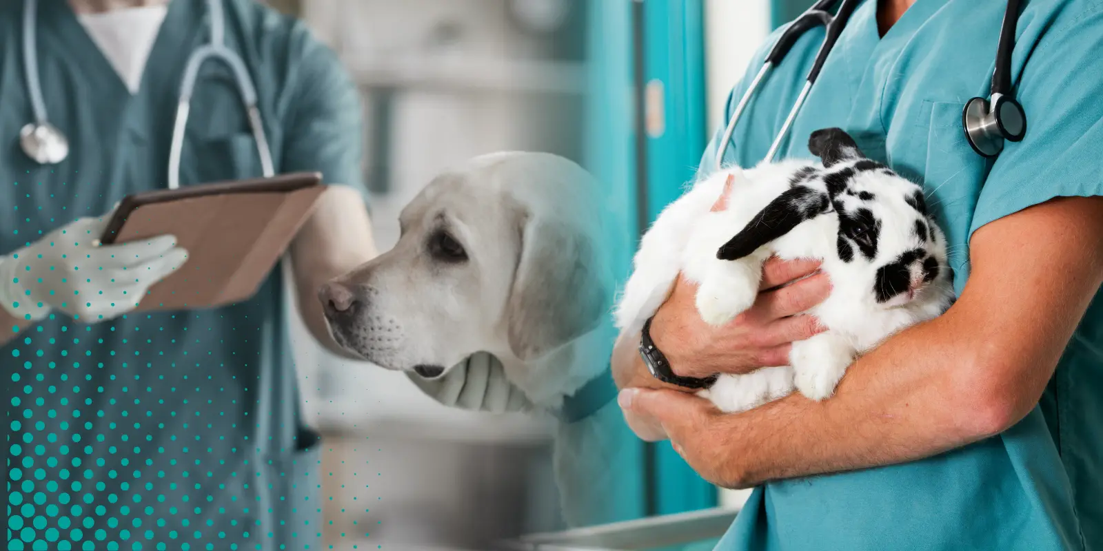 UACJ reduce uso de animales en prácticas… pero son indispensables