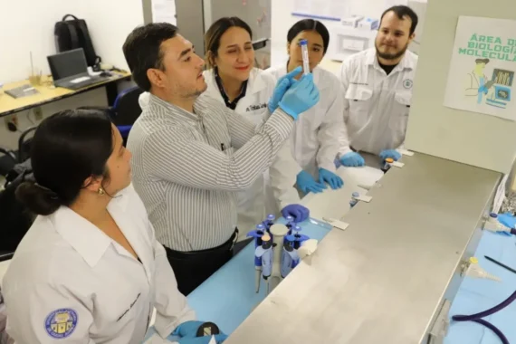 Desarrollan alternativa para combatir el dengue
