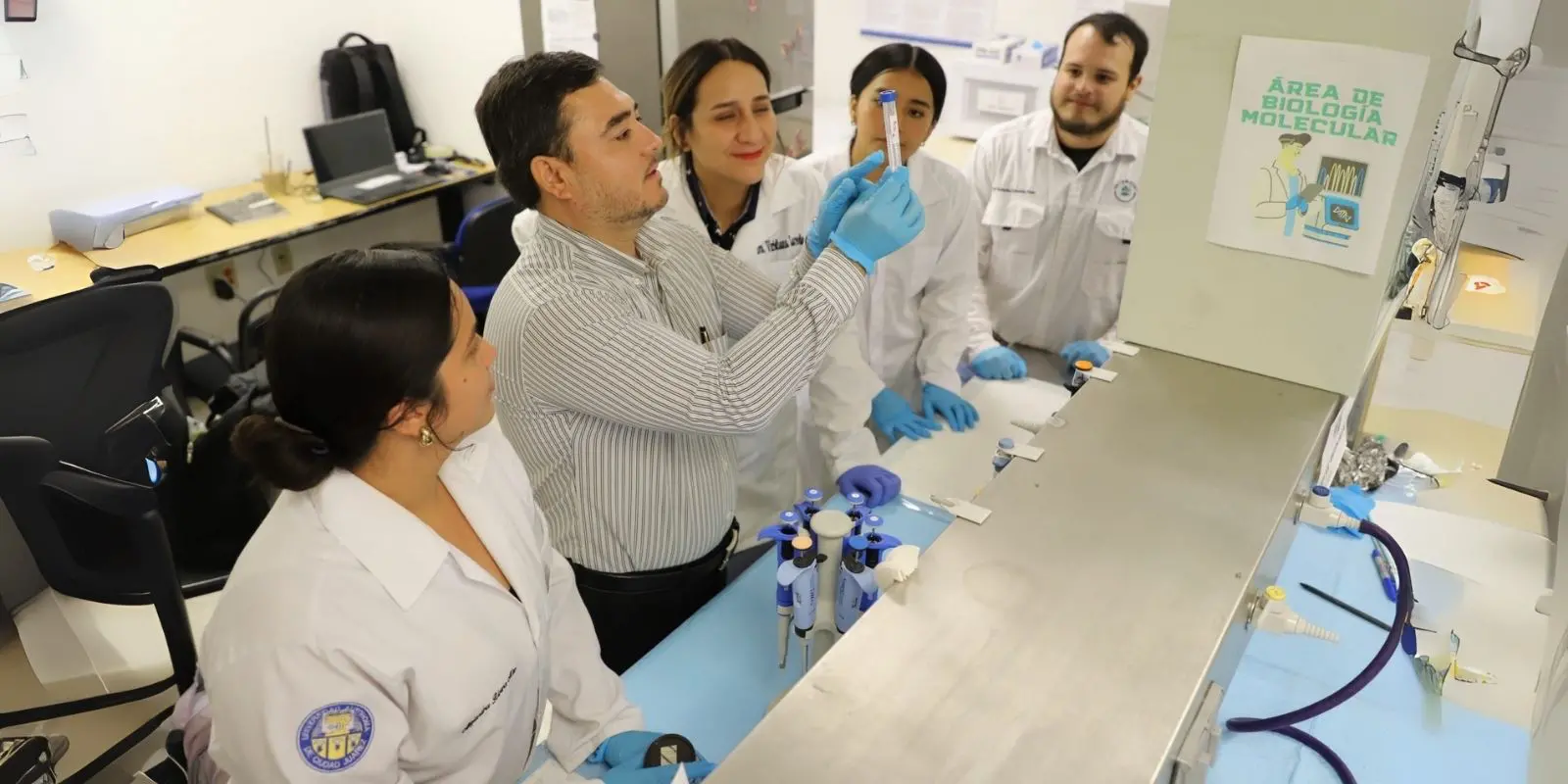 Desarrollan alternativa para combatir el dengue