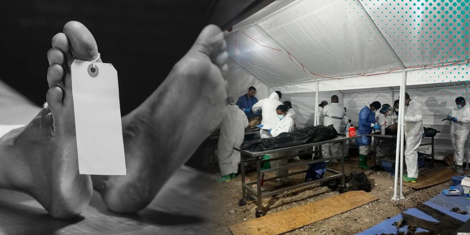 Identifican 78 cuerpos del Crematorio Plenitud