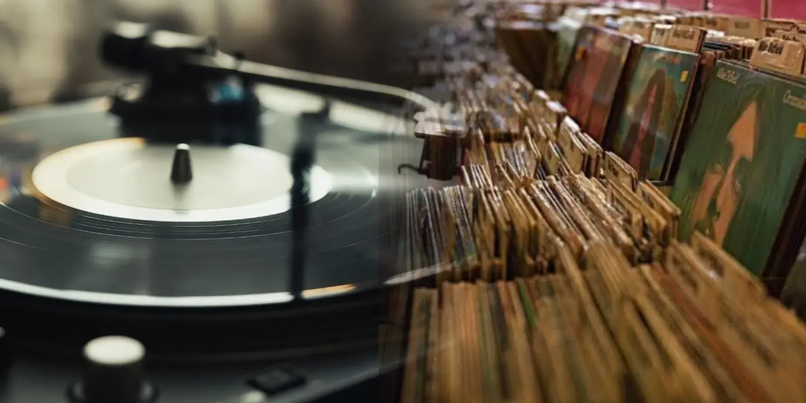 Discada Musical y cine al aire libre en la Plaza Cervantina