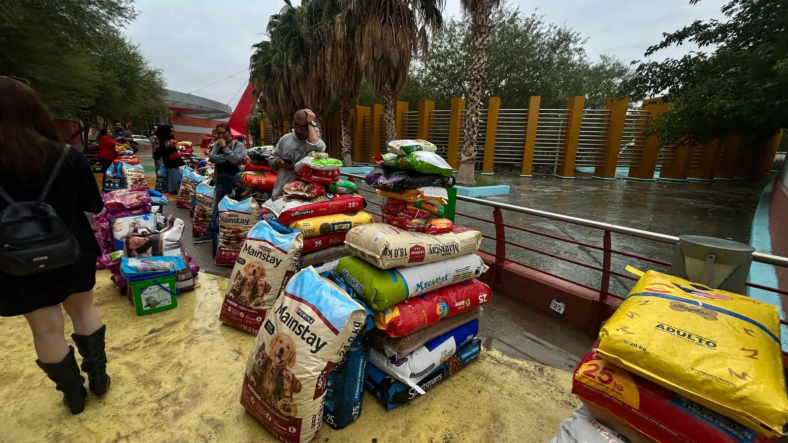 Refugios reciben más de 5 toneladas de alimento para animales